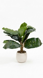 MACETA CERAMICA PLANTA 40 cm.