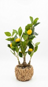 PLANTA MACETA FIBRA LIMON 54 cm.