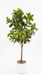 MACETA PLASTICA PLANTA 95 cm.