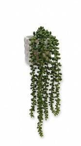 PLANTA COLGANTE MACETA CERAMICA