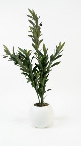 PLANTA MACETA PLASTICO BLANCO OLIVO 85 cm.