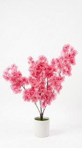 PLANTA MACETA PLASTICA FLORES