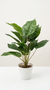 PLANTA MACETA PLASTICO BLANCO 50 cm.