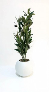 PLANTA MACETA PLASTICA BLANCA OLIVO 60 cm.