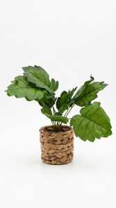 PLANTA MACETA FIBRA 38 cm.
