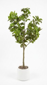 PLANTA MACETA PLASTICA 95 cm.