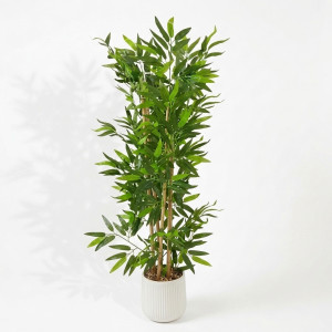 PLANTA MACETA BLANCA 1.80 mts.