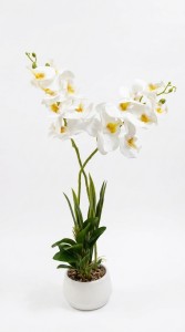 MACETA PLASTICA PLANTA ORQUIDEA 46 cm.
