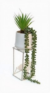 PLANTA COLGANTE MACETA CERAMICA BLANCO 40 cm.