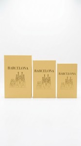 LIBRO DECORATIVO CAJA X 3