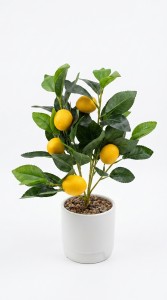 PLANTA MACETA PLASTICA BLANCA LIMON 42 cm.