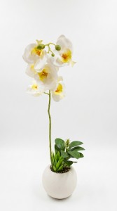 MACETA PLASTICA PLANTA ORQUIDEA 47 cm.