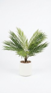 PLANTA MACETA PLASTICO BLANCO 70 cm.