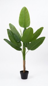 PLANTA MACETA PLASTICO NEGRO 1.10 mt.