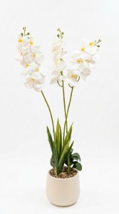 MACETA PLASTICA PLANTA ORQUIDEA 72 cm.