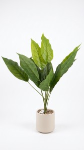 PLANTA MACETA PLASTICO 90 cm.