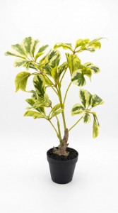 PLANTA MACETA PLASTICO NEGRO 50 cm.