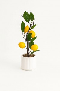 PLANTA MACETA CERAMICA BLANCA LIMON 37 cm.