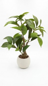 PLANTA MACETA CERAMICA BLANCA 40 cm.