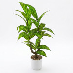 PLANTA MACETA PLASTICO 1.00 mts.