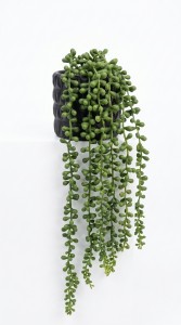 PLANTA COLGANTE MACETA CERAMICA