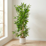 PLANTA MACETA BLANCA 1.10 mts.