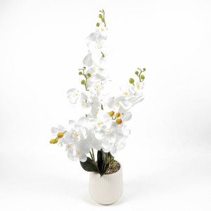 PLANTA MACETA PLAASTICO BLANCO 80 cm.