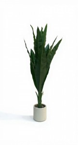 PLANTA MACETA CERAMICA BLANCA