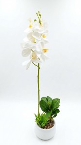 MACETA PLASTICA PLANTA ORQUIDEA 46 cm.