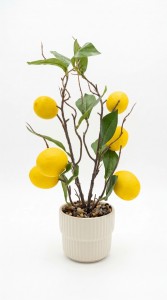 PLANTA MACETA CERAMICA BLANCA LIMON 40 cm.