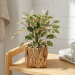 PLANTA MACETA FIBRA 30 cm.