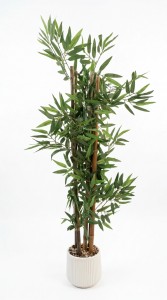 PLANTA MACETA CERAMICA BLANCA