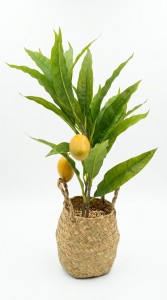 PLANTA MACETA FIBRA MANGO 50 cm.