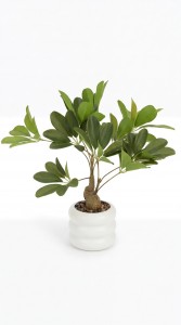 PLANTA MACETA PLASTICO BLANCO 40 cm.