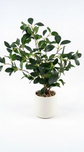 PLANTA ARTIFICIAL