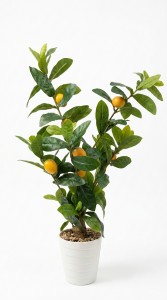 PLANTA MACETA PLASTICO 70 cm.