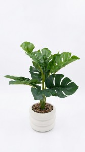 PLANTA MACETA CERAMICA BLANCA 30 cm.