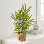 PLANTA MACETA FIBRA 48 cm.