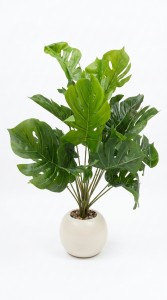 MACETA PLASTICA PLANTA 70 cm.