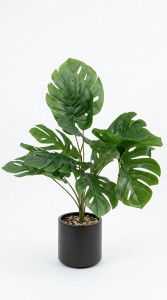 PLANTA MACETA PLASTICO 80 cm.