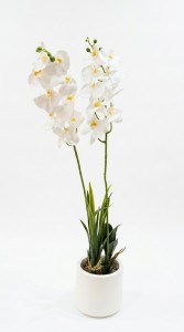 MACETA PLASTICA PLANTA ORQUIDEA 76 cm.