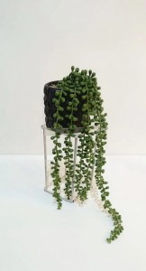 PLANTA COLGANTE MACETA CERAMICA NEGRO 40 cm.
