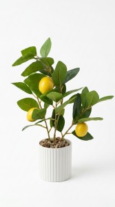 PLANTA MACETA PLASTICO BLANCO LIMON 40 cm.