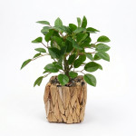 PLANTA MACETA FIBRA 30 cm.
