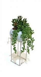 PLANTA COLGANTE MACETA CERAMICA BLANCA 20Ccm.