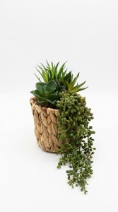 PLANTA MACETA FIBRA 16 cm.