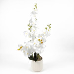 PLANTA MACETA PLAASTICO BLANCO 80 cm.