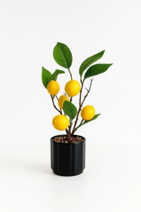 PLANTA MACETA CERAMICA NEGRA LIMON 30 cm.