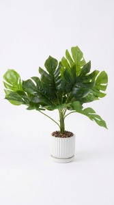 MACETA CERAMICA PLANTA 50 cm.