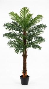 PLANTA MACETA PLASTICO NEGRO 1.20 mt.